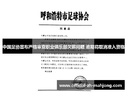 中国足协宣布严格审查职业俱乐部欠薪问题 逾期将取消准入资格