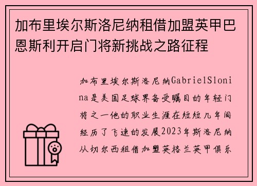 加布里埃尔斯洛尼纳租借加盟英甲巴恩斯利开启门将新挑战之路征程